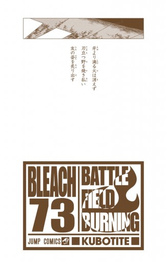 Bleach カラー版 73 久保帯人 漫画 無料試し読みなら 電子書籍ストア ブックライブ