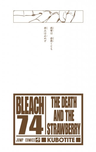 Bleach カラー版 74 最新刊 久保帯人 漫画 無料試し読みなら 電子書籍ストア ブックライブ