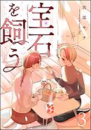 宝石を飼う【かきおろし漫画付】　（3）