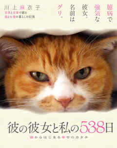 彼の彼女と私の538日 猫からはじまる幸せのカタチ