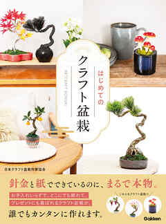 はじめてのクラフト盆栽