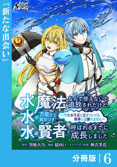 水魔法なんて使えないと追放されたけど、水が万能だと気がつき水の賢者と呼ばれるまでに成長しました～今更水不足と泣きついても簡単には譲れません～【分冊版】６