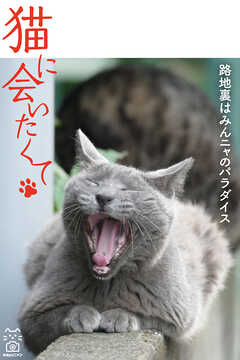猫に会いたくて 路地裏はみんニャのパラダイス