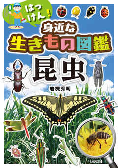 はっけん！身近な生きもの図鑑　昆虫