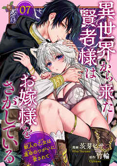 異世界から来た賢者様はお嫁様をさがしている　獣人の乙女は運命のつがいに愛されて 【短編】