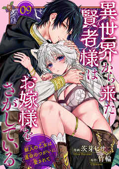 異世界から来た賢者様はお嫁様をさがしている　獣人の乙女は運命のつがいに愛されて 【短編】9