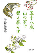 五十八歳、山の家で猫と暮らす