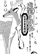 虚実の群衆～松尾芭蕉異聞録～ 第十句 野ざらし紀行・渡り水