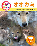 オオカミ２２　くらべてみよう！どうぶつの赤ちゃん