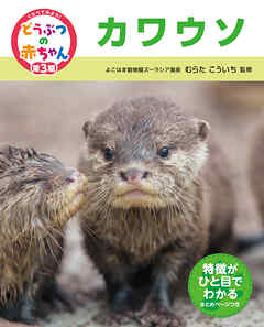 カワウソ２３　くらべてみよう！どうぶつの赤ちゃん