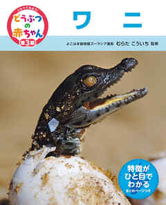 ワニ２４　くらべてみよう！どうぶつの赤ちゃん