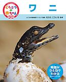 ワニ２４　くらべてみよう！どうぶつの赤ちゃん