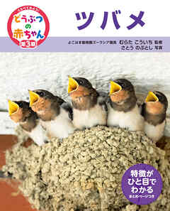 ツバメ２５　くらべてみよう！どうぶつの赤ちゃん