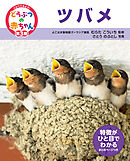 ツバメ２５　くらべてみよう！どうぶつの赤ちゃん
