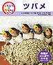 ツバメ２５　くらべてみよう！どうぶつの赤ちゃん