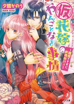 小説 仮 花嫁のやんごとなき事情9 離婚のはずが大波乱 作者 夕鷺かのう イラスト 山下ナナオ 感想 Whiteblue S Thoughts