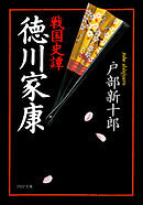 戦国史譚　徳川家康