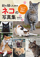 絵を描くためのネコの写真集