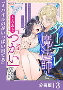 クーデレ魔法師ととろあま「つがい」契約【分冊版】３