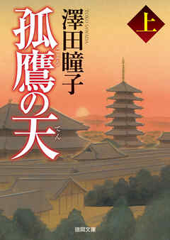 孤鷹の天　上〈新装版〉