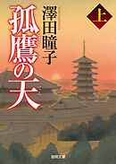 孤鷹の天　上〈新装版〉