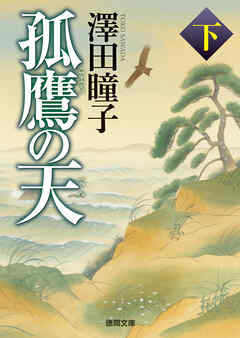 孤鷹の天　下〈新装版〉