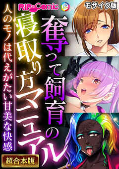 奪って飼育の寝取り方マニュアル ～人のモノは代えがたい甘美な快感～【超合本シリーズ】 モザイク版