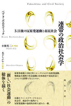 連帯の政治社会学――3.11後の反原発運動と市民社会