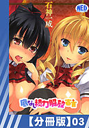 【分冊版】底なし精力解放宣言（３）