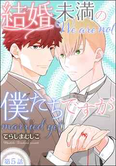 結婚未満の僕たちですが（分冊版）　【第5話】