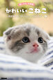 癒しのねこ写真集　かわいいこねこ　～大好き！ スコティッシュ・フォールド～ 3