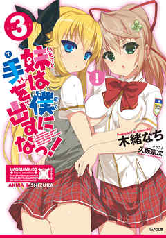 妹は僕に手を出すなっ！３