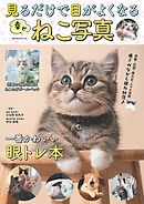 見るだけで目がよくなる幸せねこ写真