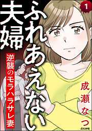 ふれあえない夫婦 逆襲のモラハラサレ妻（分冊版）
