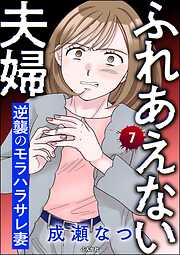 ふれあえない夫婦 逆襲のモラハラサレ妻（分冊版）