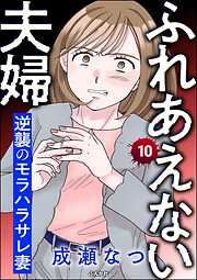 ふれあえない夫婦 逆襲のモラハラサレ妻（分冊版）