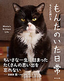 もんたのいた日常