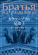 カラマーゾフの兄弟　３