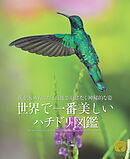 世界で一番美しい ハチドリ図鑑：花を求め育んだ、高速で羽ばたく神秘的な姿