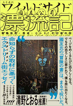 ワイルドサイド漂流記　歌舞伎町・西成・インド・その他の街