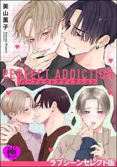 パーフェクトアディクション ラブシーンセレクト版【極】