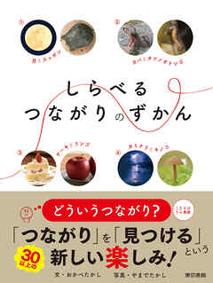 しらべるつながりのずかん