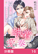 再会幼なじみの執着は愛を奏でる ～甘い仕返しはベッドの上で～【分冊版】16