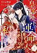 皇帝陛下の運命の人は、私でした～後宮寵愛占い譚～（単話版1）