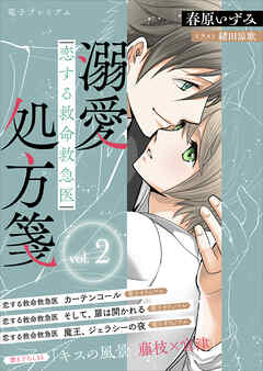 恋する救命救急医　溺愛処方箋２　【電子プレミアム】