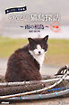 癒しのねこ写真集　のんびり猫島探訪　～雨の相島～　中編