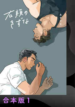 右頬のきずな【電子合本版】