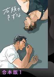 右頬のきずな【電子合本版】