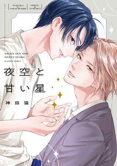 夜空と甘い星【電子限定描き下ろし付き】