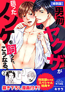 男前ヤクザが狙ったノンケを飼うと、こうなる。【特別版】【描き下ろし漫画付き】(2)